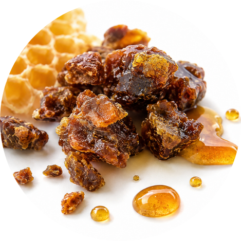 Organinis propolis