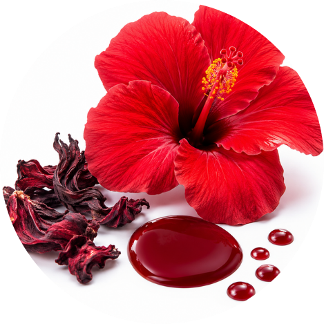 Hibiskų žiedų ekstraktas