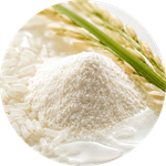 Ryžių proteinai